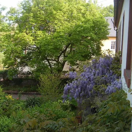 Mit Garten Und Parkplatz *